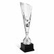 Coppa economica stile coppa dei campioni