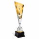 Coppa economica stile coppa dei campioni
