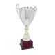 Coppa economica stile coppa dei campioni