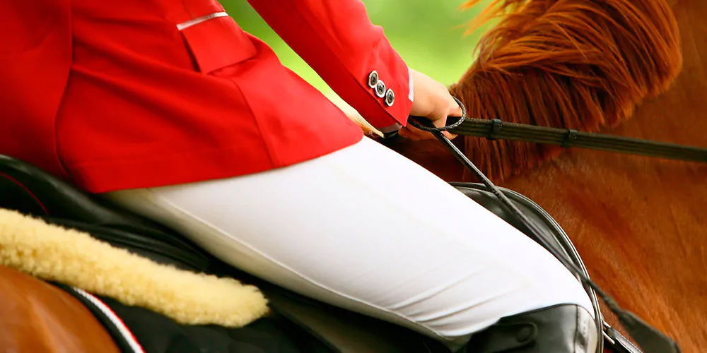 premiazioni equitazione